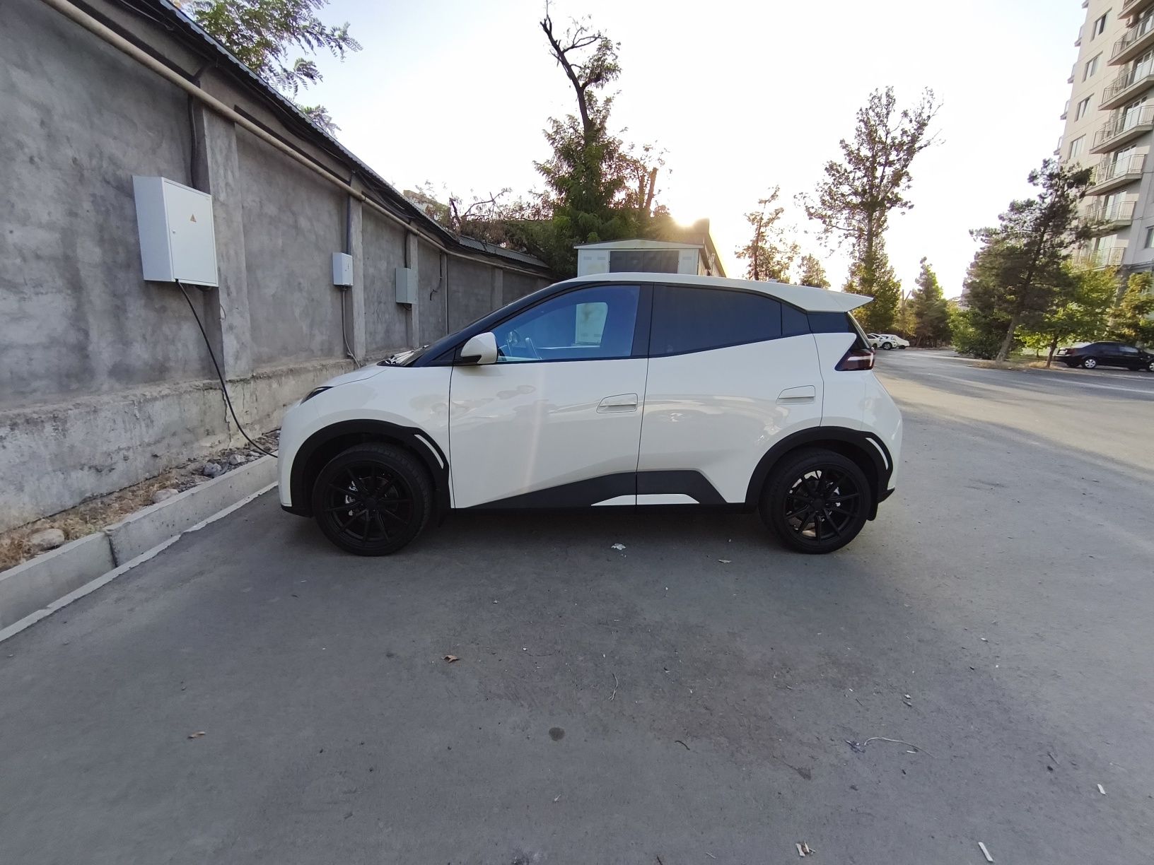 Byd seagull 2024 (официальный)