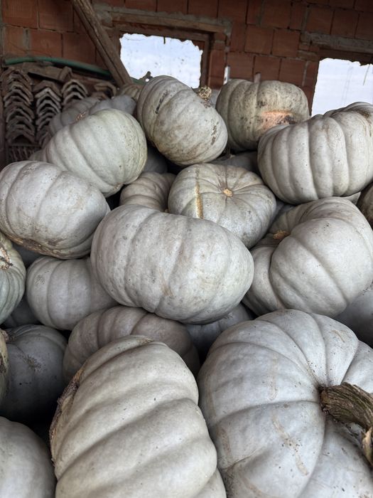 Dovleac de copt dulce de vanzare