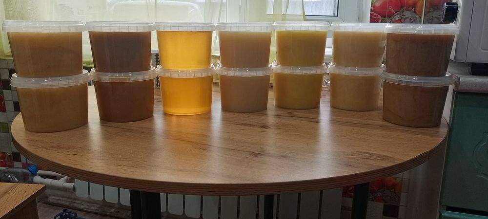 Полезный вкусный натуральный мёд приямок из Алтая