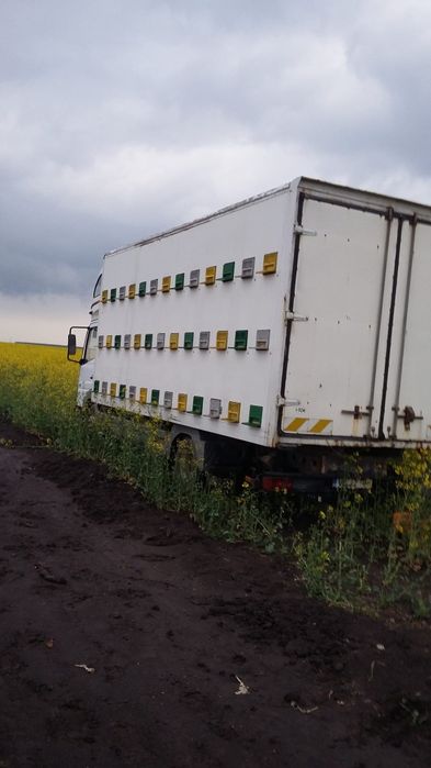 Vând URGENT !!!  Camion apicol Mercedes Atego 7,5 tone.