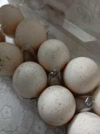 Индюшиные яйца 700 тг 1 штука