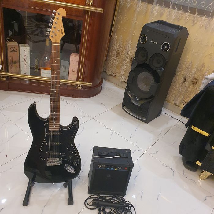 Chitara neagra lucioasa