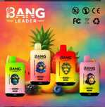 Bang Leader 45000 Puffs 2 Arome Reîncărcabil