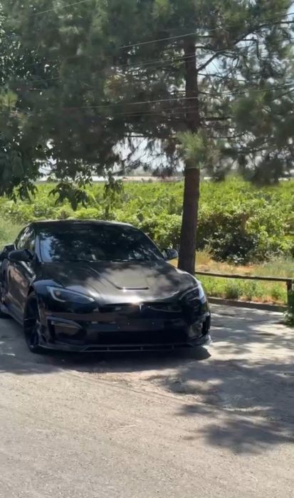 Tesla model S plade