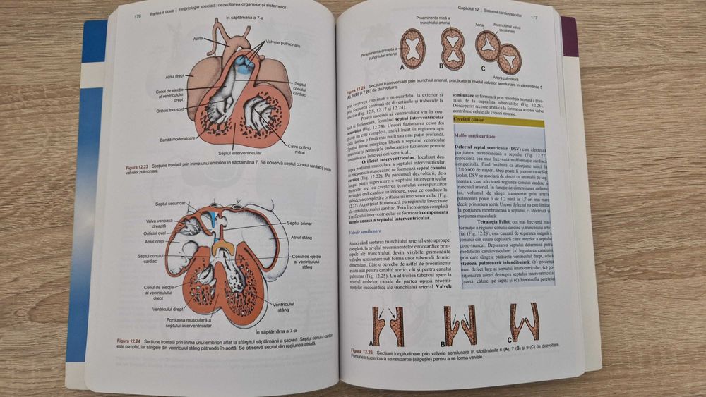 Langman Embriologie Medicală , T.W. Sadler, Ediția a 10-a, Română