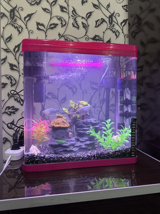 Аквариум для рыб