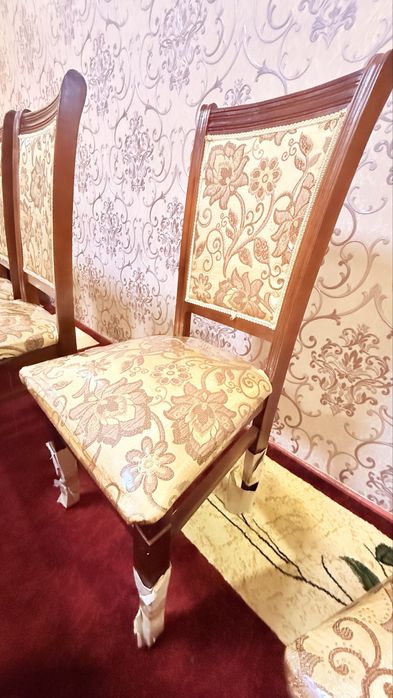 Ishlatilgan stol va 12stul, holati ideal.