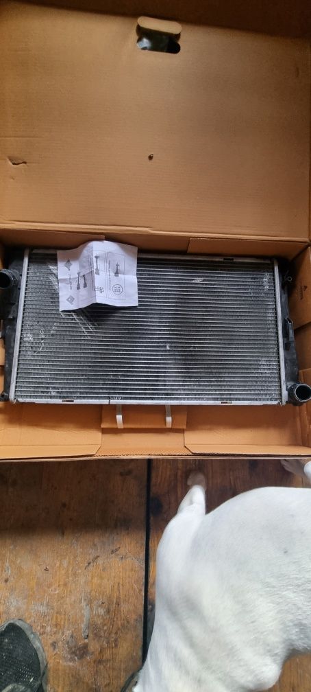Vand radiator apa, racire bmw e90,X1