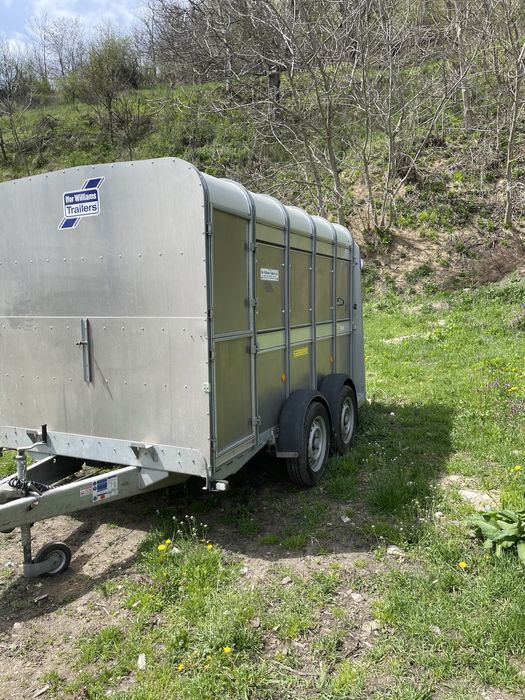 Transport animale vii autorizat