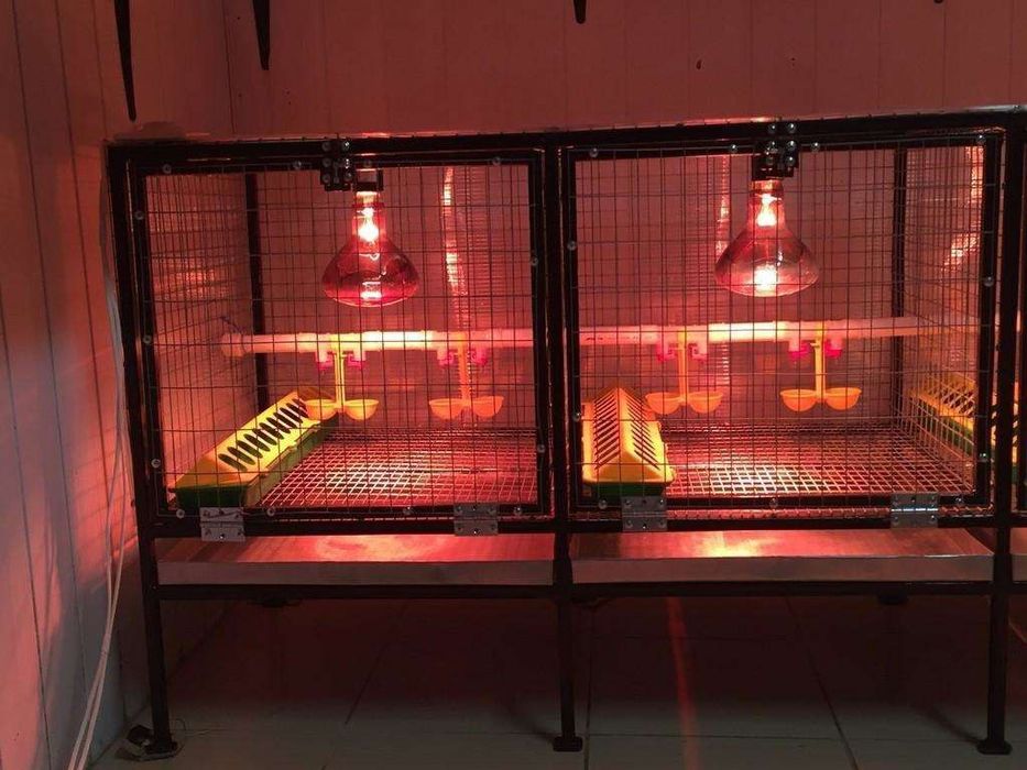 Bruder na zakaz lyuboy razmer