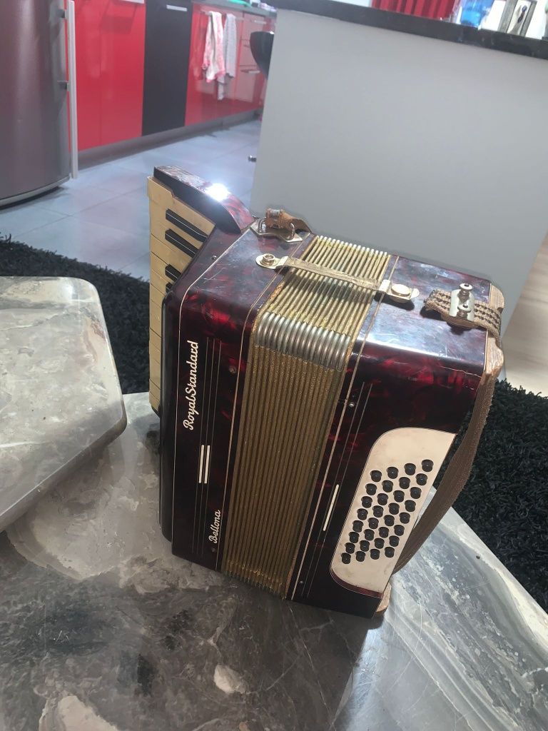 Acordeon royal standard