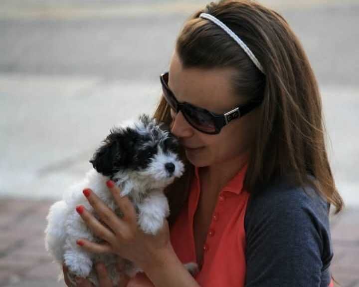 Îngrijire animăluțe - Grijă, iubire și vizite zilnice