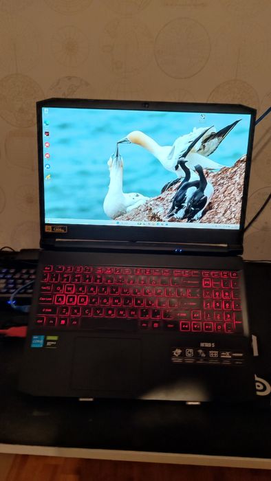 Ноутбук Acer nitro 5