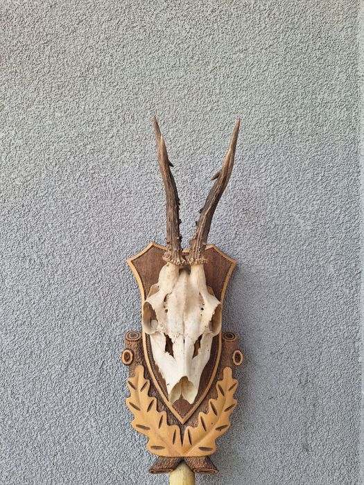 Ornament interior/exterior