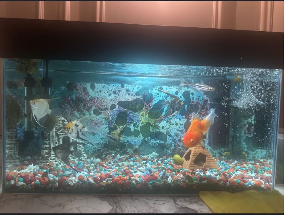 Продам аквариум 50 л