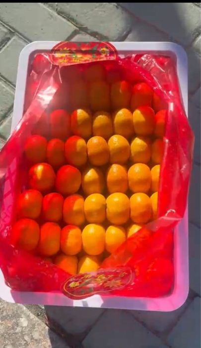 Мандарины оптом Китай (высший сорт Нанфен)