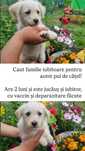 Donatie catel de 2 luni