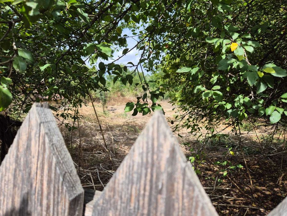 Teren intravilan 1500mp Bitina-Pamanteni Com Movilita Ialomita E85