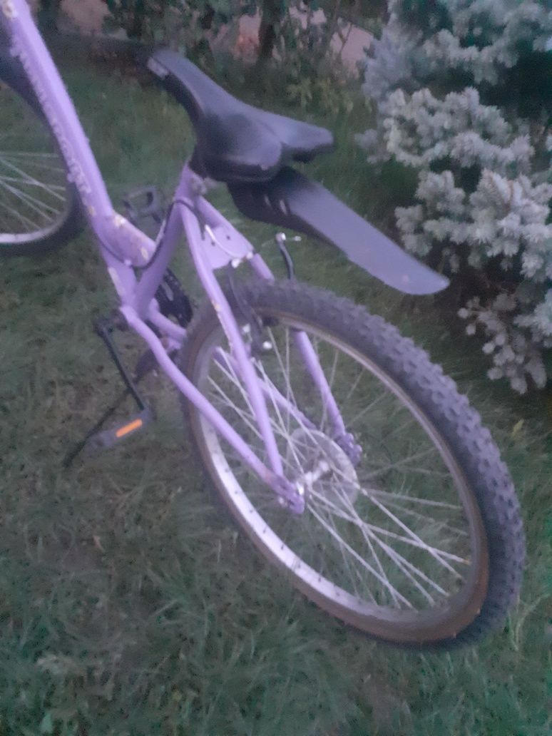 Bicicleta Plimbări Pe Starda