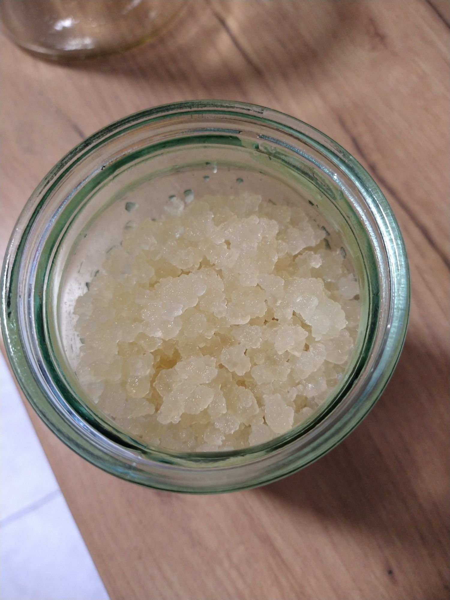 Kefir de apa probiotic