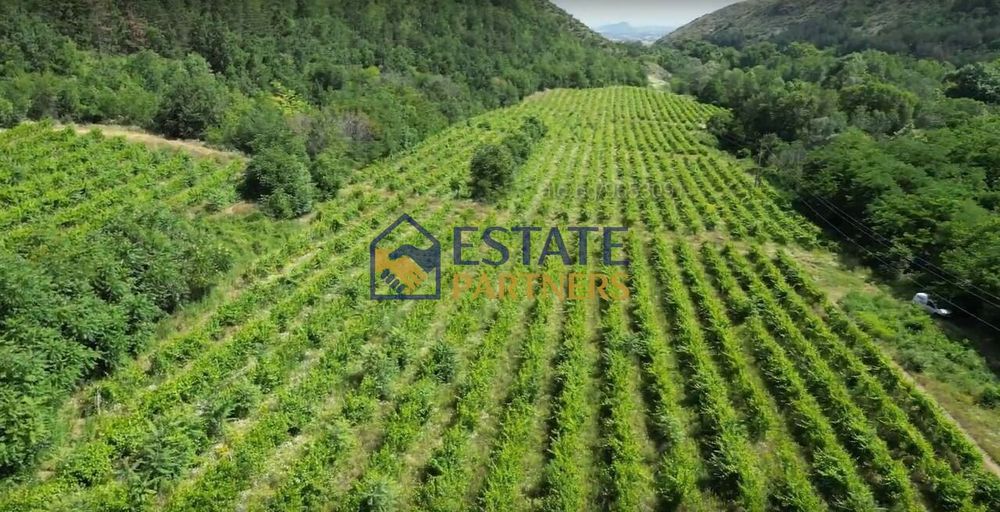 Продава се Парцел в с. Храбрино, Област Пловдив - 68188 кв.м за 6 €/кв.м - Снимка #2