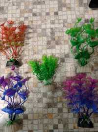 Plante colorate pentru acvariu