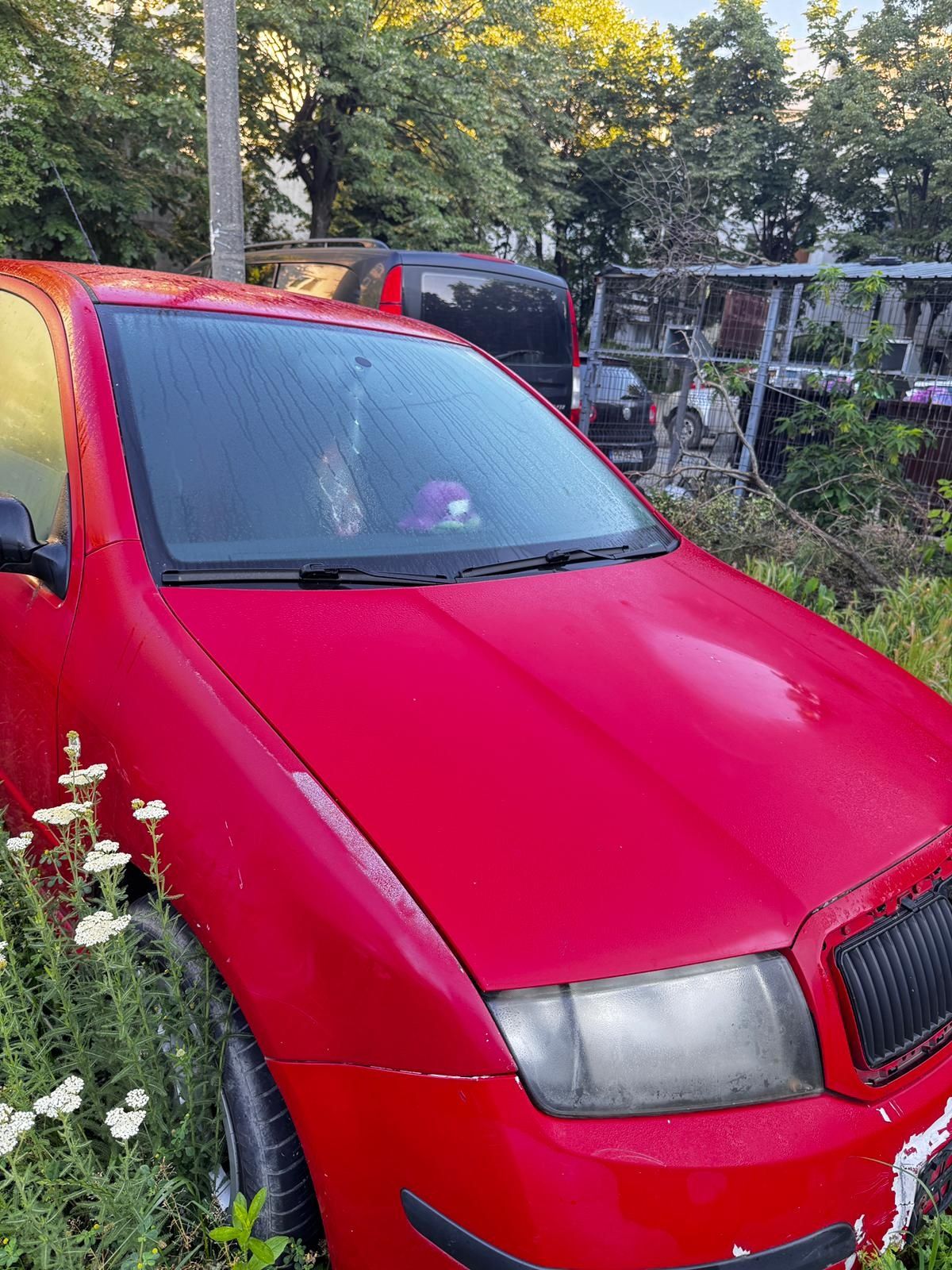 Skoda Fabia I- an de fabricație 2007