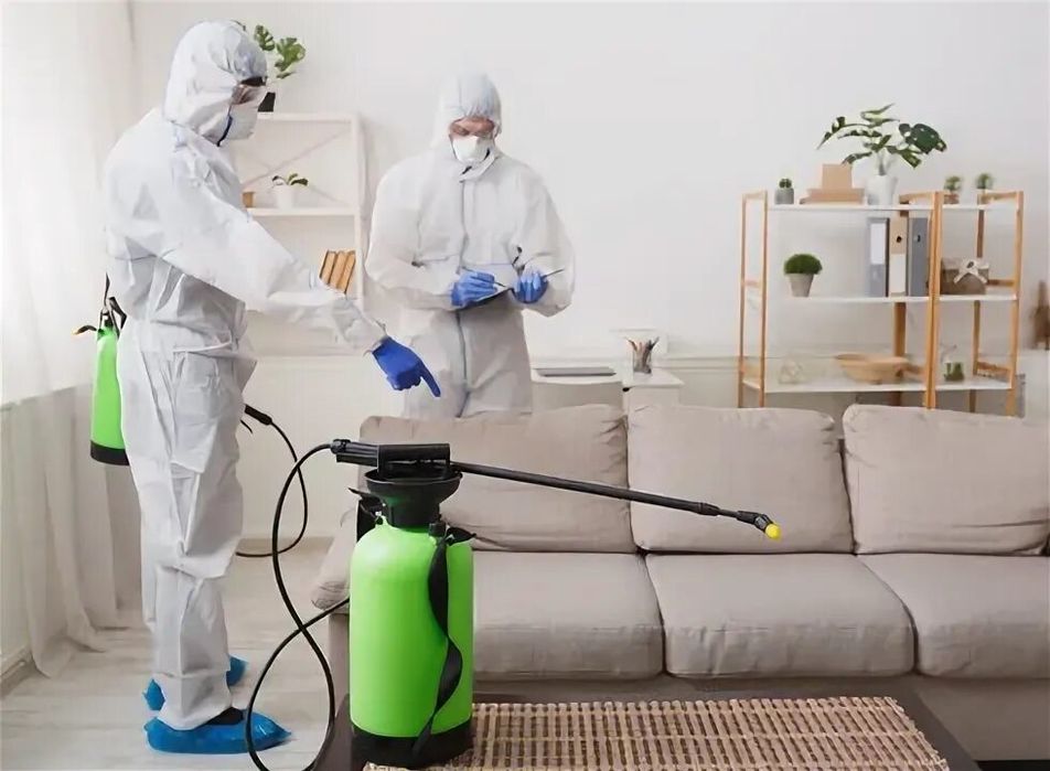 Cleaning servis уборка квартиры домов офисов и Дезинфекция квартиры
