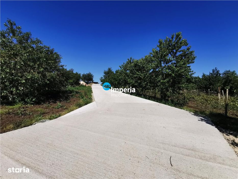 Parcele teren pentru casa  Dorobant