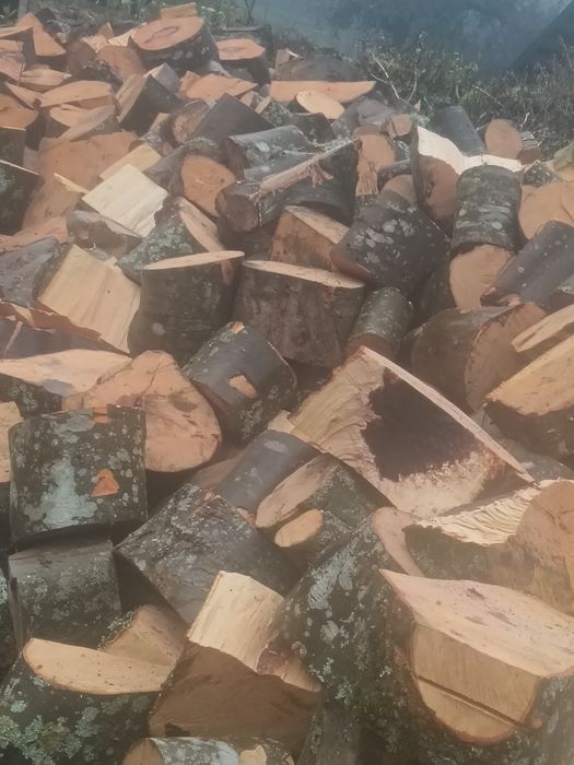 Lemne foc fag. De vânzare