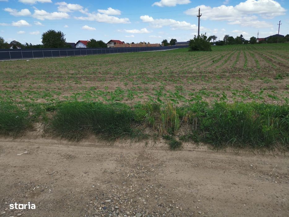 Lot casa Serbanesti, Bacau.