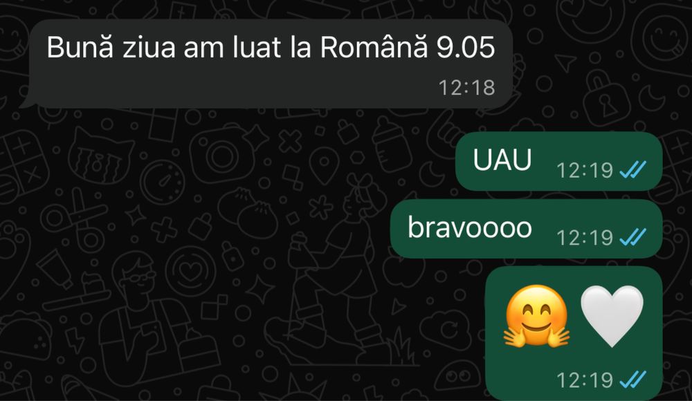 Meditații Limba și Literatura Română