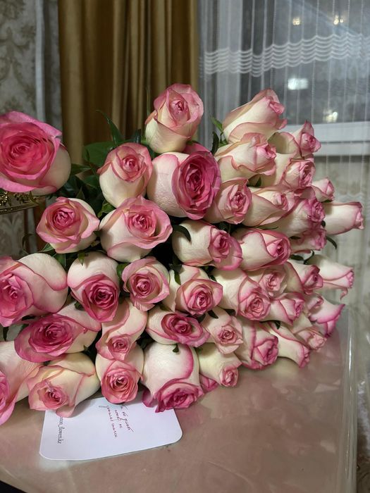 Свежий қазір келді әлі ашылмаған