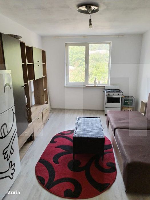 Garsoniera/camera camin, de vanzare, 20,5 mp, zona Liceu Elie Radu