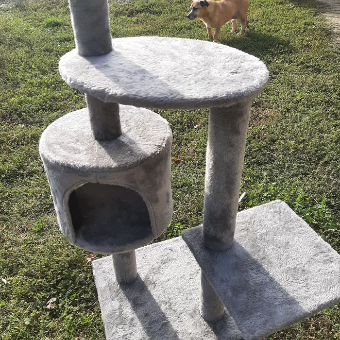 Ansamblu de joaca pentru pisici