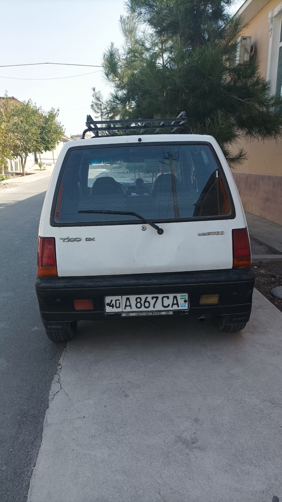 Тико 1999 йил холати яхши
