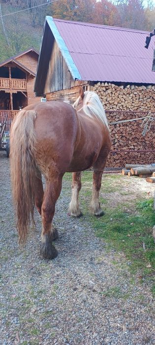 Iapa de vânzare foarte blanda