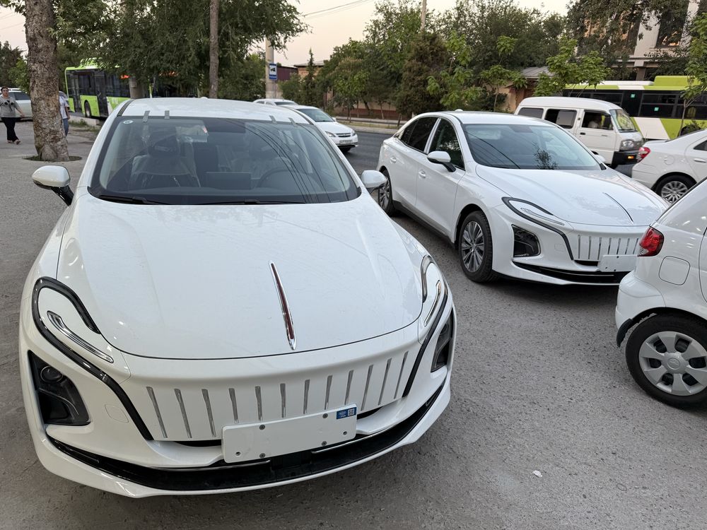 Hongqi eqm-5 elektr