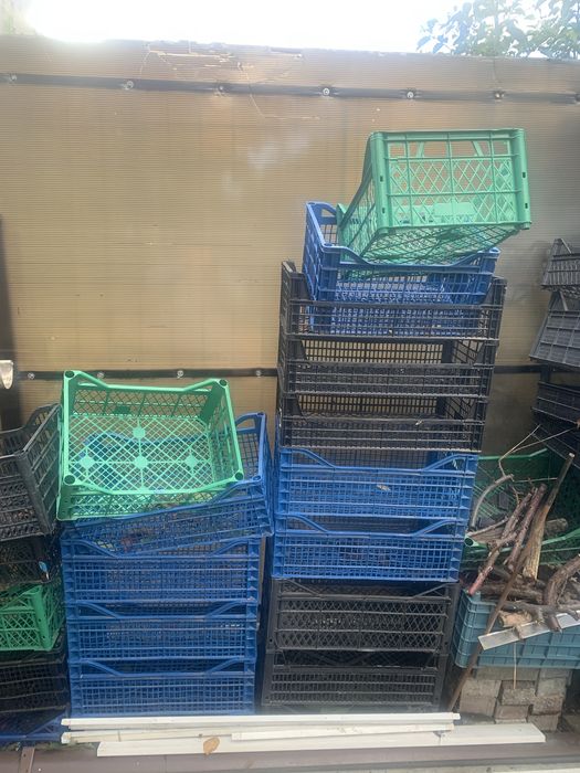 Ladite plastic ca in poze 50 buc
