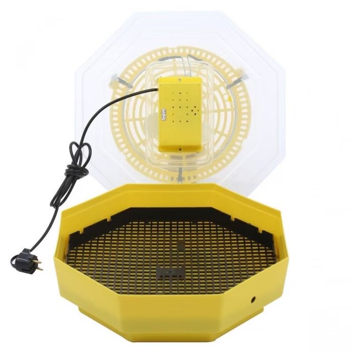 Incubator Cleo 5