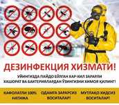 Dizinfeksiya dezinfeksiya dizenfeksiya klapa tarakan kalamush burga