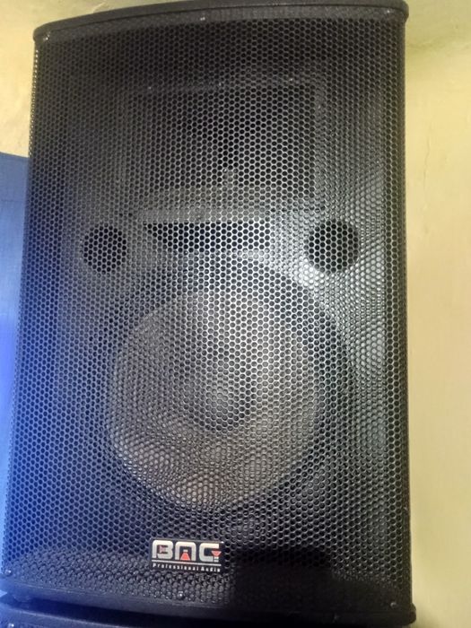 Vând o păreche de Boxe BMG prefesionale 800 de wați una la 8 omy pasiv