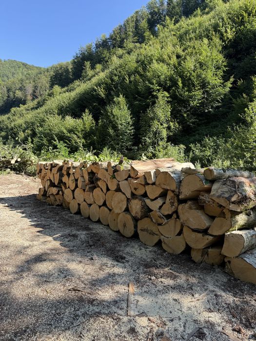 Lemne de foc esențe tarii [Fag,Gorun,Carpen]