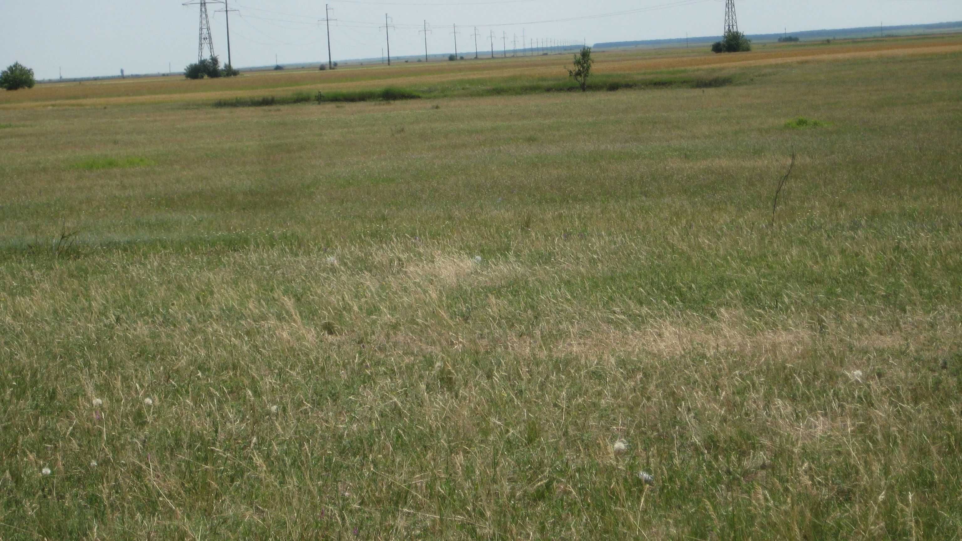 Teren autostrada Bucuresti-Pitesti,Ratesti,km 83