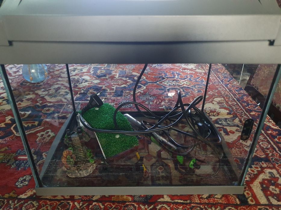 Vand acvariu pentru pesti sau broscuta