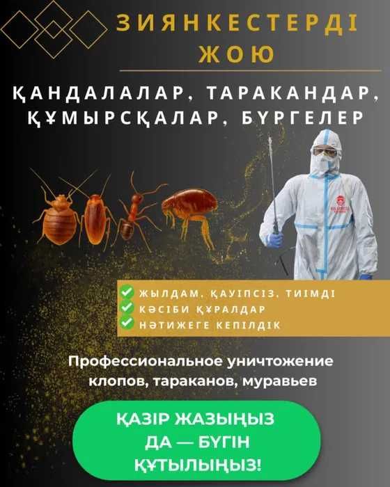 Дезинфекция Кандала, таракан улау