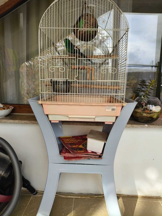 Papagal cântător cu tot cu colivie