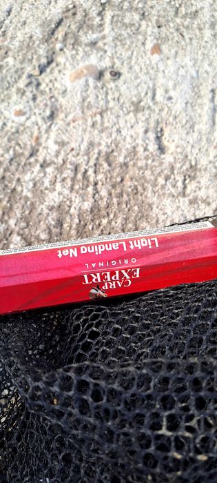 Minciog Carp expert 2m telescopic