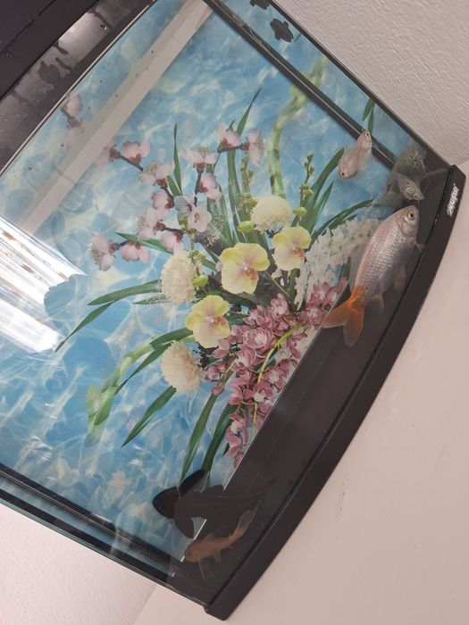 Acvariu cu pești si filtru