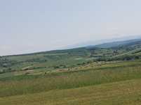 Baloți de vânzare de 150